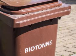 Biotonne / Foto:Animaflora by Canva