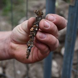 Zu den Funden an der Kuhburg gehörte ein rostiger Nagel. Foto: Landkreis Prignitz 