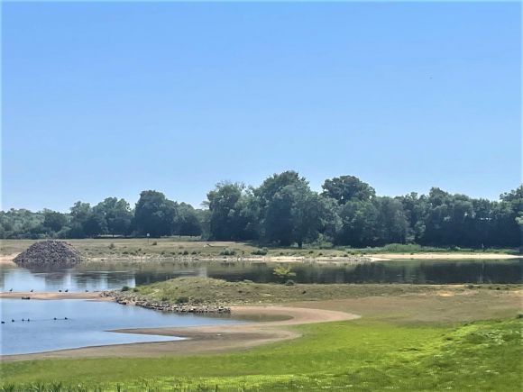 Es ist deutlich sichtbar: Die Elbe hat Niedrigwasser. Foto: Sandra Wietz / Landkreis Prignitz