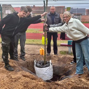 Unterstützung bei der Pflanzung gab es von den 9. Klässlern der Oberschule Wittenberge.  Foto: Gina Werthe / Landkreis Prignitz