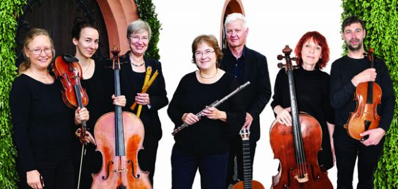 Ensemble Concertino / Foto: Kreismusikschule