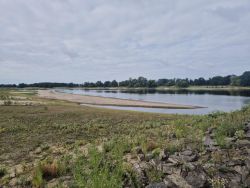 Niedrigwasser der Elbe / Foto: LK Prignitz