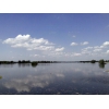 Elbe bei Gaarz (08.06.2013)