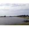 Elbe bei Gaarz (09.06.2013)