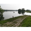 Elbe bei Wootz - das Wasser fällt (19.06.2013)