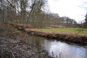 Ostseite des Geländesporns. Foto: LK Prignitz