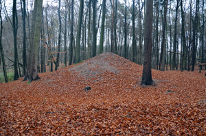 Hügelgrab nach der Wiederherstellung 2010, Durchmesser ca. 13 m und 2 m hoch. Foto: LK Prignitz