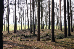 Der heutige Zustand des Teufelsberges mit dem spätbronzezeitlichen Kultplatz. Foto: Thomas Hauptmann